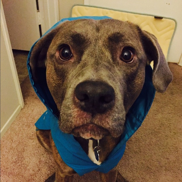 Meet your Posher, Li - Picture 1 of 1