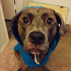 Meet your Posher, Li