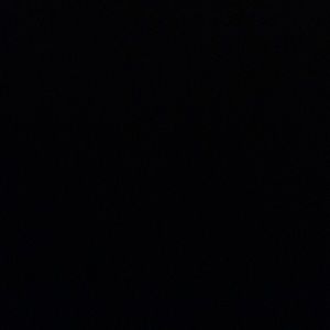 Meet your Posher, Ally