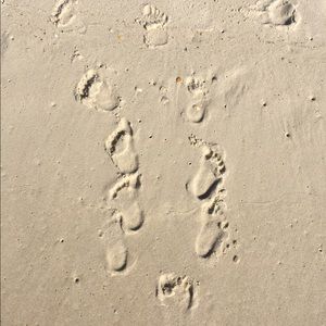 Meet your Posher, Zac