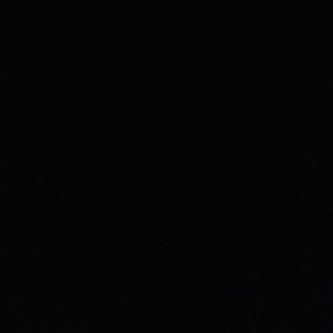 Meet your Posher, Vannesa