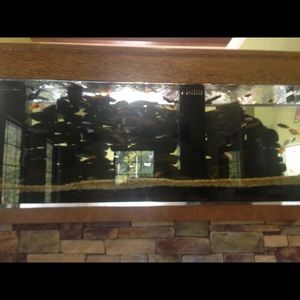 Meet your Posher, Kendra