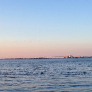 Meet your Posher, Josie