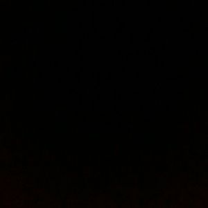 Meet your Posher, Alan