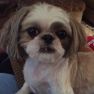 Meet your Posher, Kelly