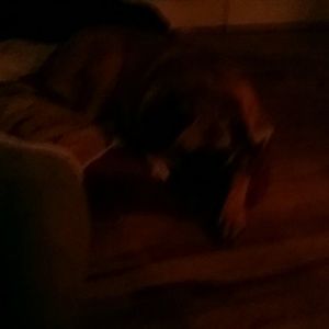 Meet your Posher, Debbie