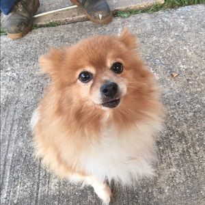 Meet your Posher, Donna