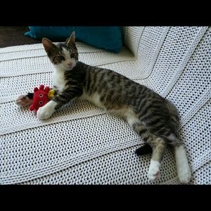 Meet your Posher, Mary