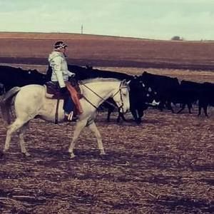 Meet your Posher, Melodi