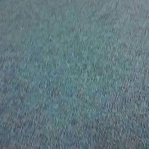 Meet your Posher, Patrice