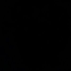 Meet your Posher, Bridget