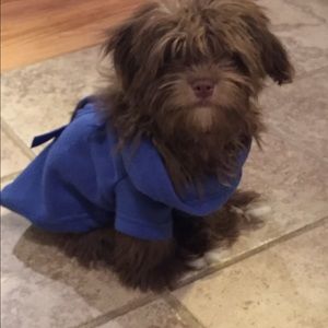 Meet your Posher, Debbie