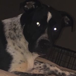 Meet your Posher, Raychelle