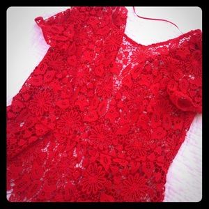 Zara Peplum red lace top
