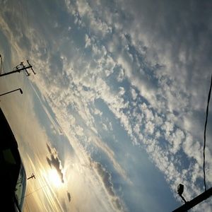 Meet your Posher, Karli