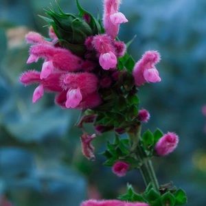 Meet your Posher, Keryn