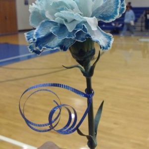 Meet your Posher, Kerri