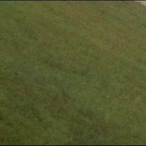 Meet your Posher, Tabitha