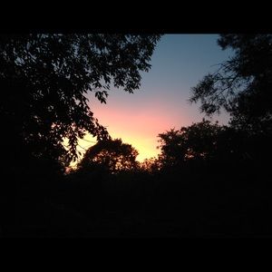 Meet your Posher, Courtney