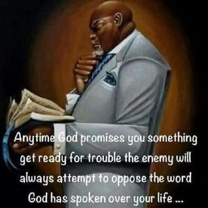 Meet your Posher, Martha