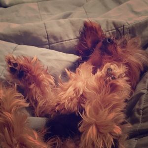 Meet your Posher, Jenae