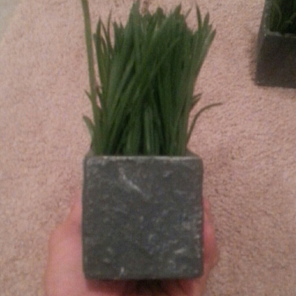 Home decor artificial window grass boxes. - Picture 2 of 2