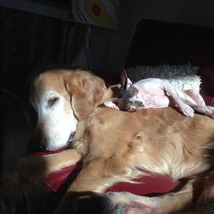 Meet your Posher, Terri