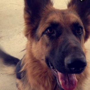 Meet your Posher, Beatriz