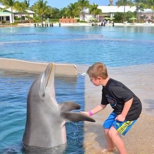 Meet your Posher, Annette