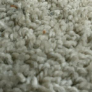 Meet your Posher, Brittney