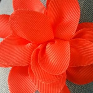 Meet your Posher, Delia