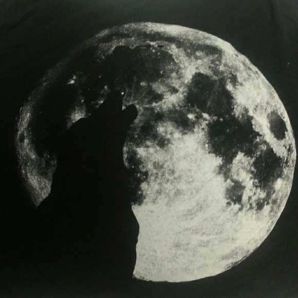 Black wolf and moon crop top