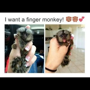 Meet your Posher, Myra