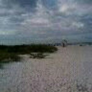 Meet your Posher, Traci