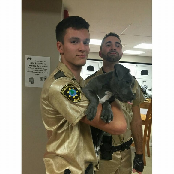 Meet your Posher, Noah