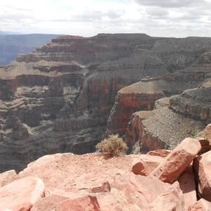 Meet your Posher, Patti