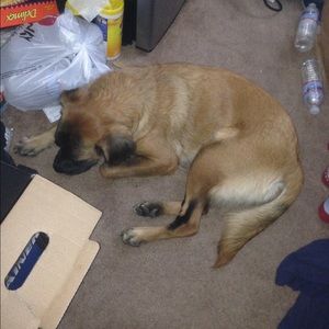 Meet your Posher, Charles