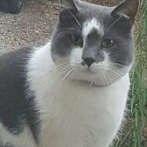 Meet your Posher, Carrie