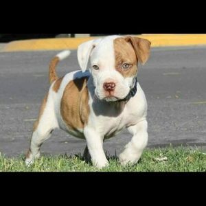 Meet your Posher, Erick