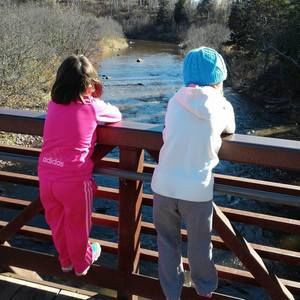 Meet your Posher, Susan