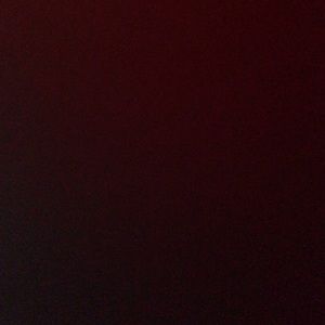 Meet your Posher, Rosalie