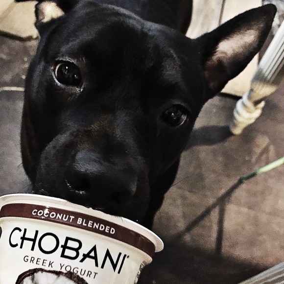 Meet your Posher, Johana ^ that's Chase 😊 - Picture 2 of 5