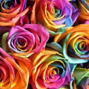 Meet your Posher, Yvette