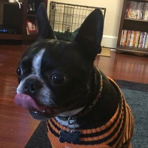 Meet your Posher, Anna