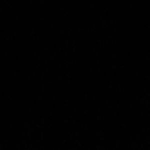 Meet your Posher, Tori