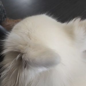 Meet your Posher, Tammy