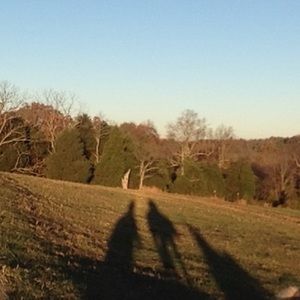 Meet your Posher, Kelsey