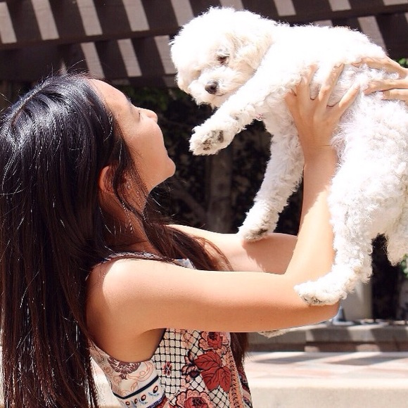 β’ meet your seller β’ - Picture 3 of 4