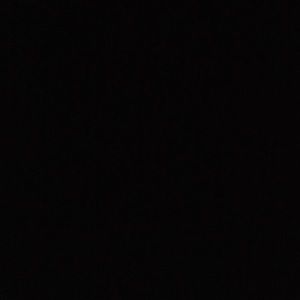 Meet your Posher, Allie