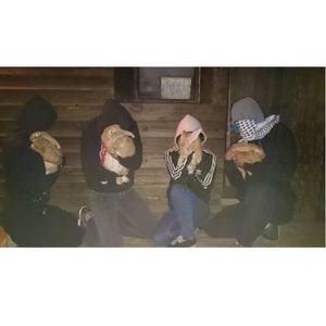 Meet your Posher, Maria